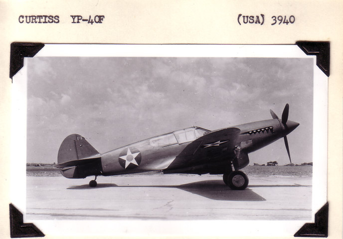 Curtiss-YP40F