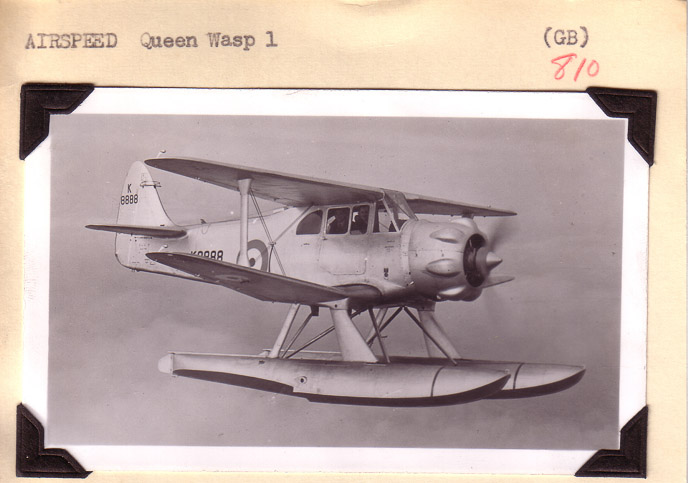 Airspeed-QueenWasp1