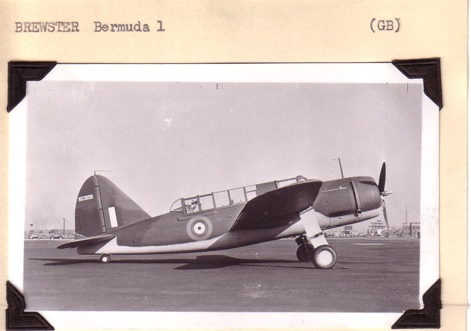 Brewster-Bermuda-2