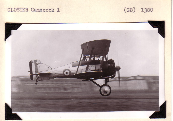 Gloster-Gamecock