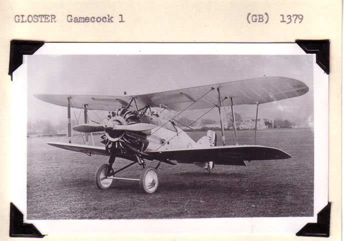 Gloster-Gamecock2