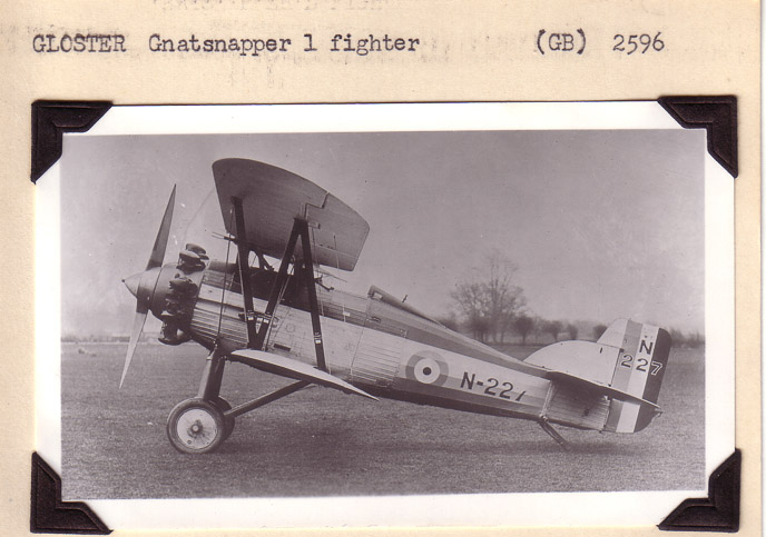 Gloster-Gnatsnapper1