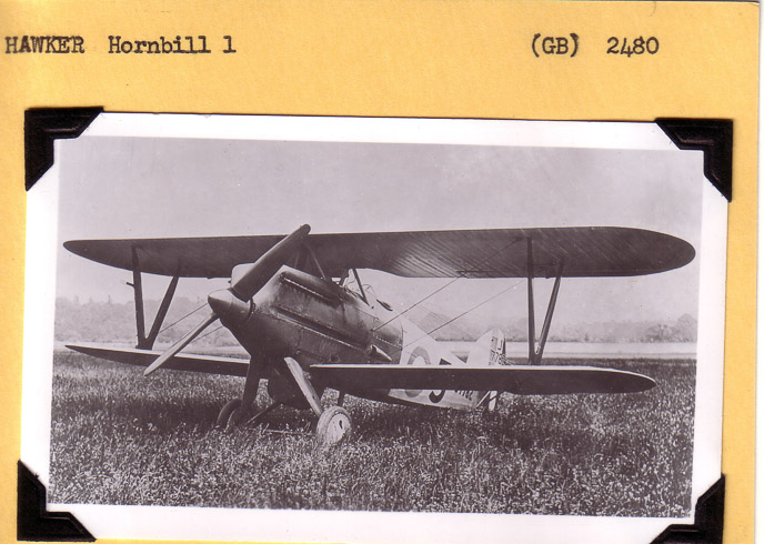 Hawker-Hornbill