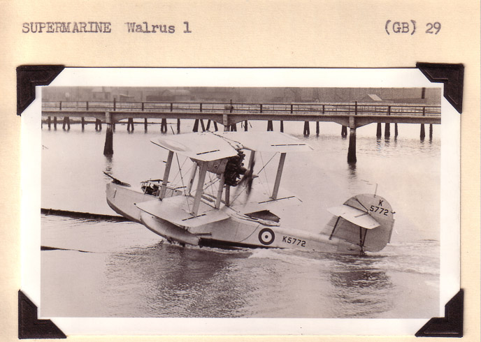 Supermarine-Walrus2