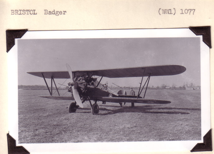 Bristol-Badger-3