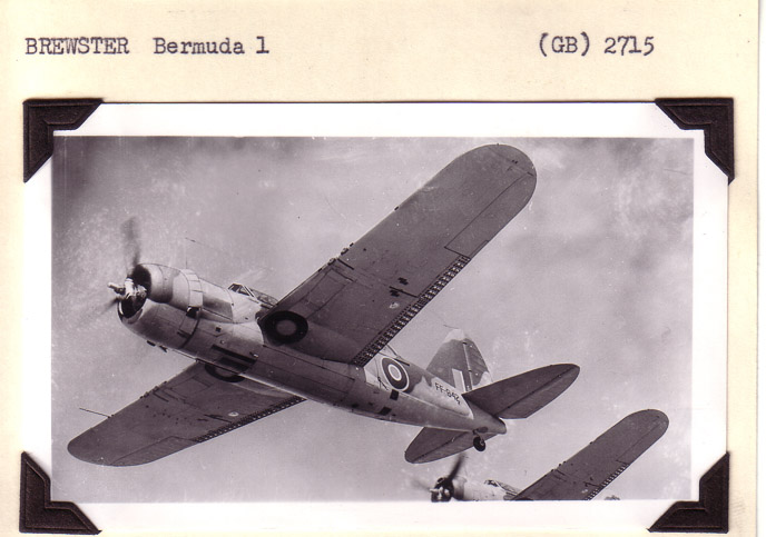 Brewster-Bermuda1