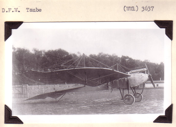 DFW-Taube-2
