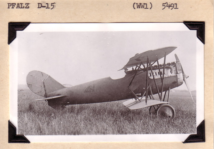 Pfalz-D15
