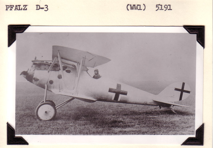 Pfalz-D3-3