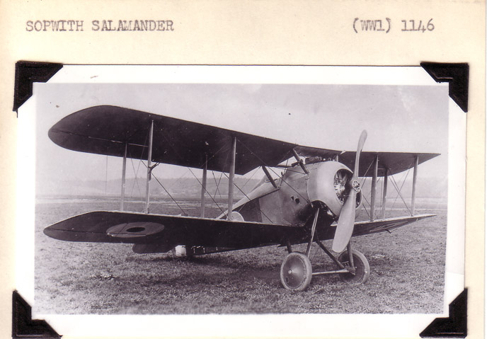 Sopwith-Salamander-2