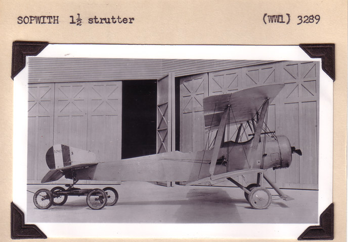 Sopwith-Strutter